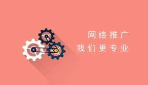 如何實現(xiàn)網(wǎng)站推廣的效果最大化?促進引流的實際方法是什么?