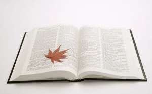 規(guī)劃網(wǎng)站關(guān)鍵詞的7個(gè)流程