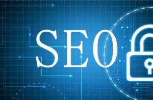 哪些seo優(yōu)化網(wǎng)站的方式可以正常更新快照?